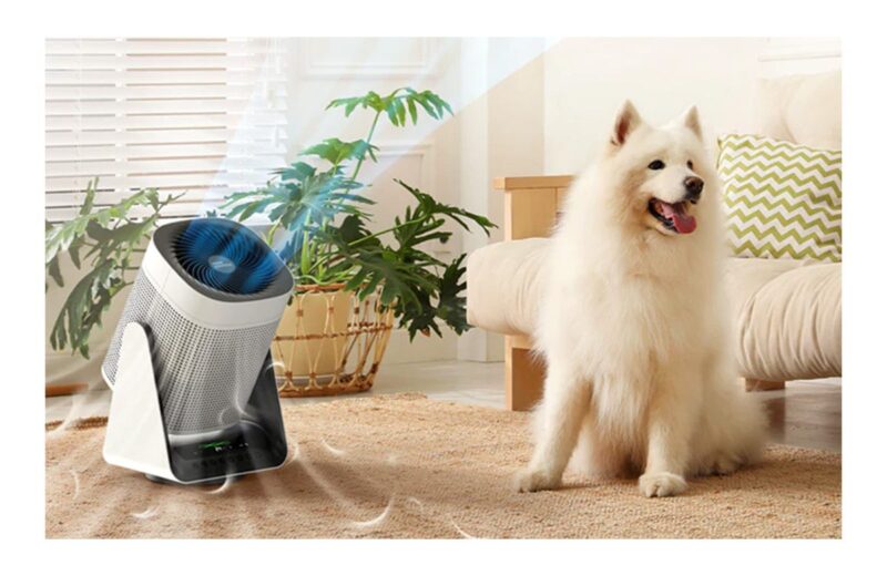 PetProofing Tips for a Safe Home and the Benefits of Air Purifiers for Pets Rome Family 2022