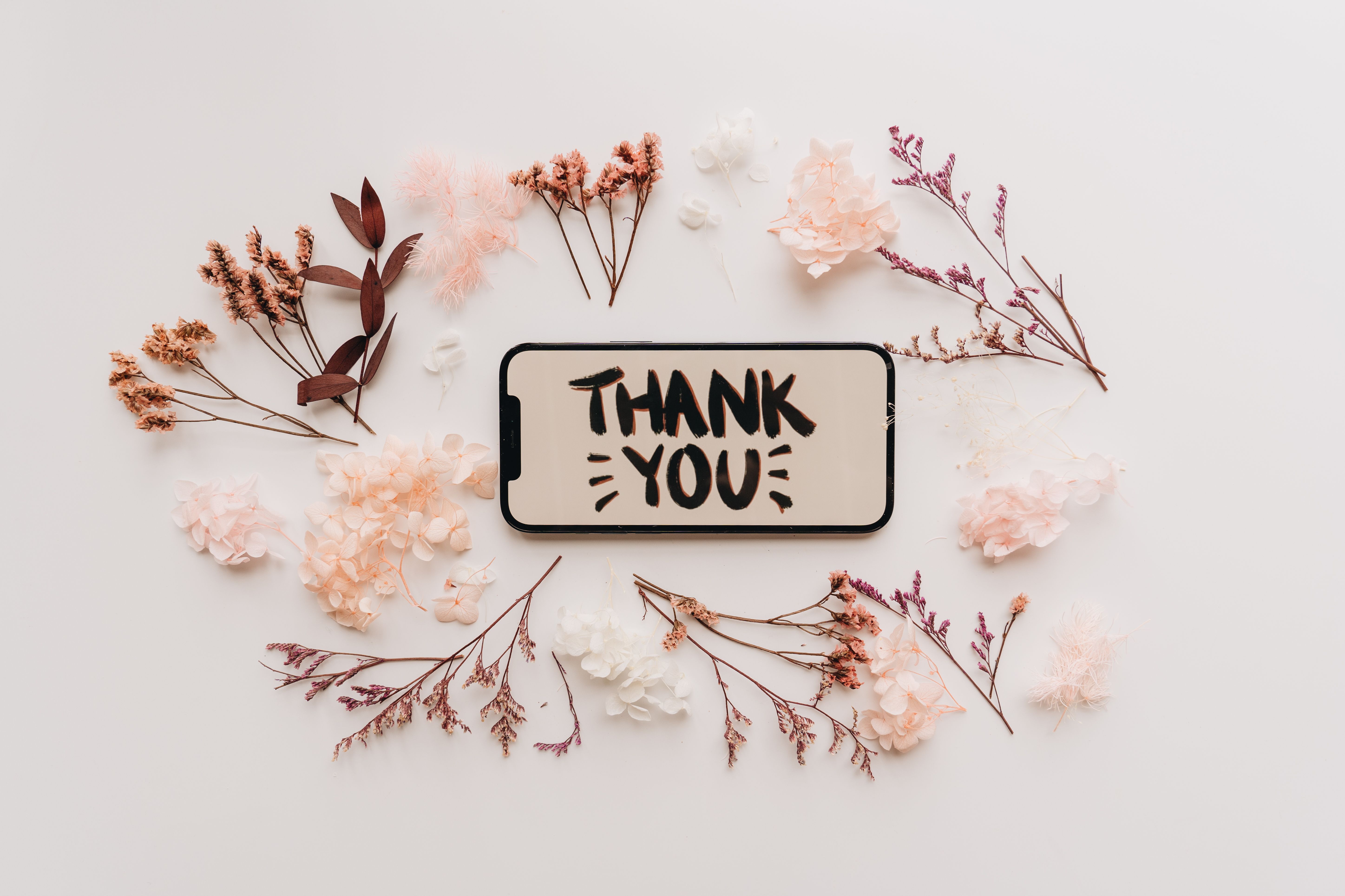Smartphone displaying a thank-you message among dried flowers.